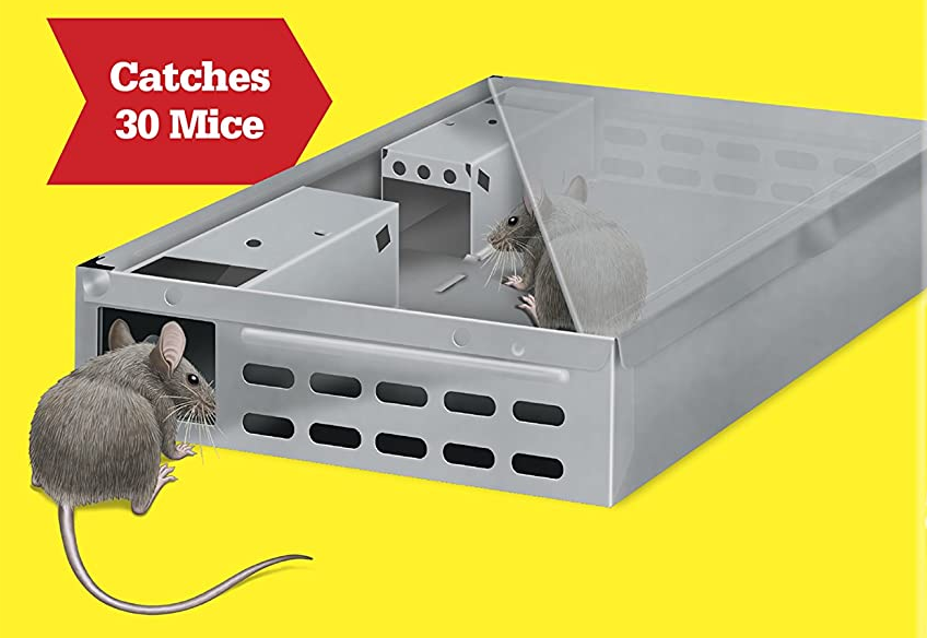 Мультиловка - безопасный метод борьбы с грызунами на пищевых предприятиях Мультиловка - безопасный метод борьбы с грызунами на пищевых предприятиях