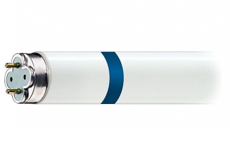 Осколкозащищеная лампа СанПин 2.3.6.3668-20 и СанПиН 2.3/2.4.3590-2О Осколкозащищеная лампа СанПин 2.3.6.3668-20 и СанПиН 2.3/2.4.3590-2О