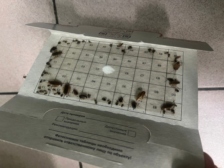 PCG® 100 клеевой монитор-ловушка для тараканов с онлайн-редактором таблиц