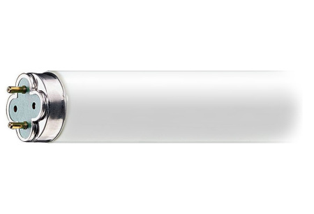 Лампа 40W/Т8/BL/G13 (Китай)