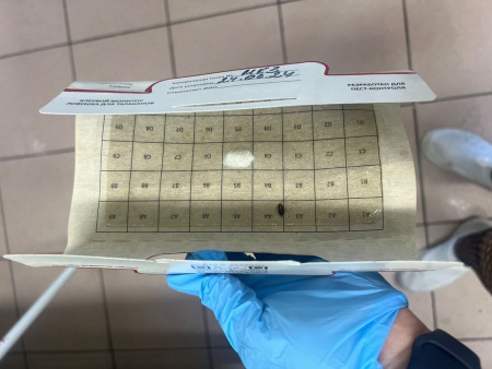 PCG® 100 клеевой монитор-ловушка для тараканов с онлайн-редактором таблиц