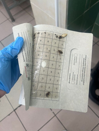 PCG® 100 клеевой монитор-ловушка для тараканов с онлайн-редактором таблиц