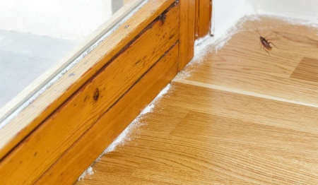 Порошок для профилактической дезинсекции "Террицепт - Кристалл" 130г