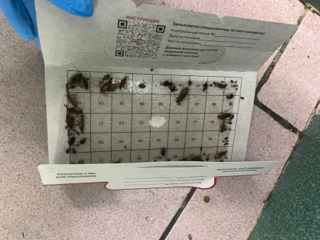 PCG® 100 клеевой монитор-ловушка для тараканов с онлайн-редактором таблиц